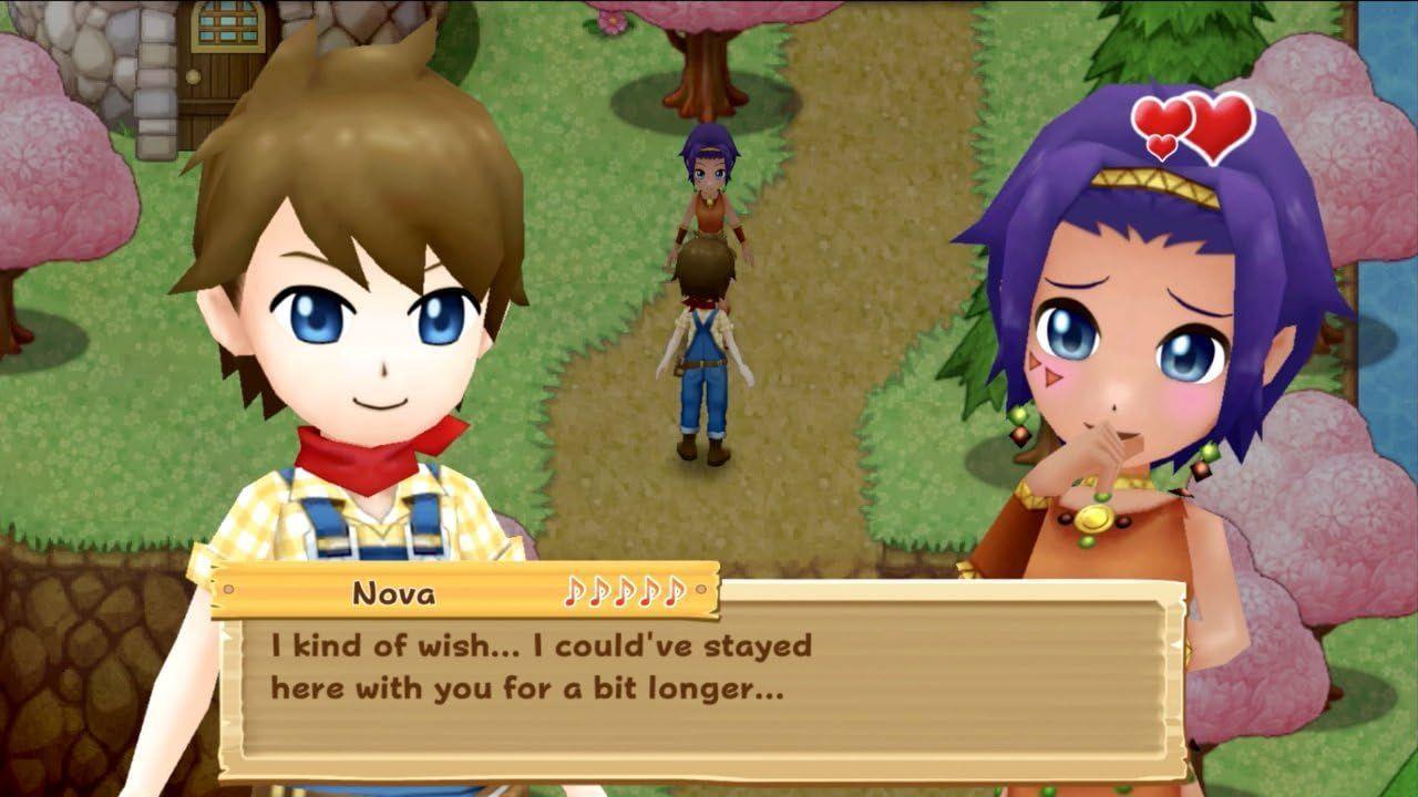 Harvest Moon Light of Hope Special Edition Nintendo Switch-1