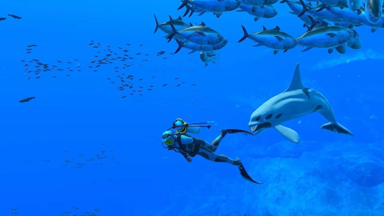 Endless ocean luminous Nintendo Switch-1