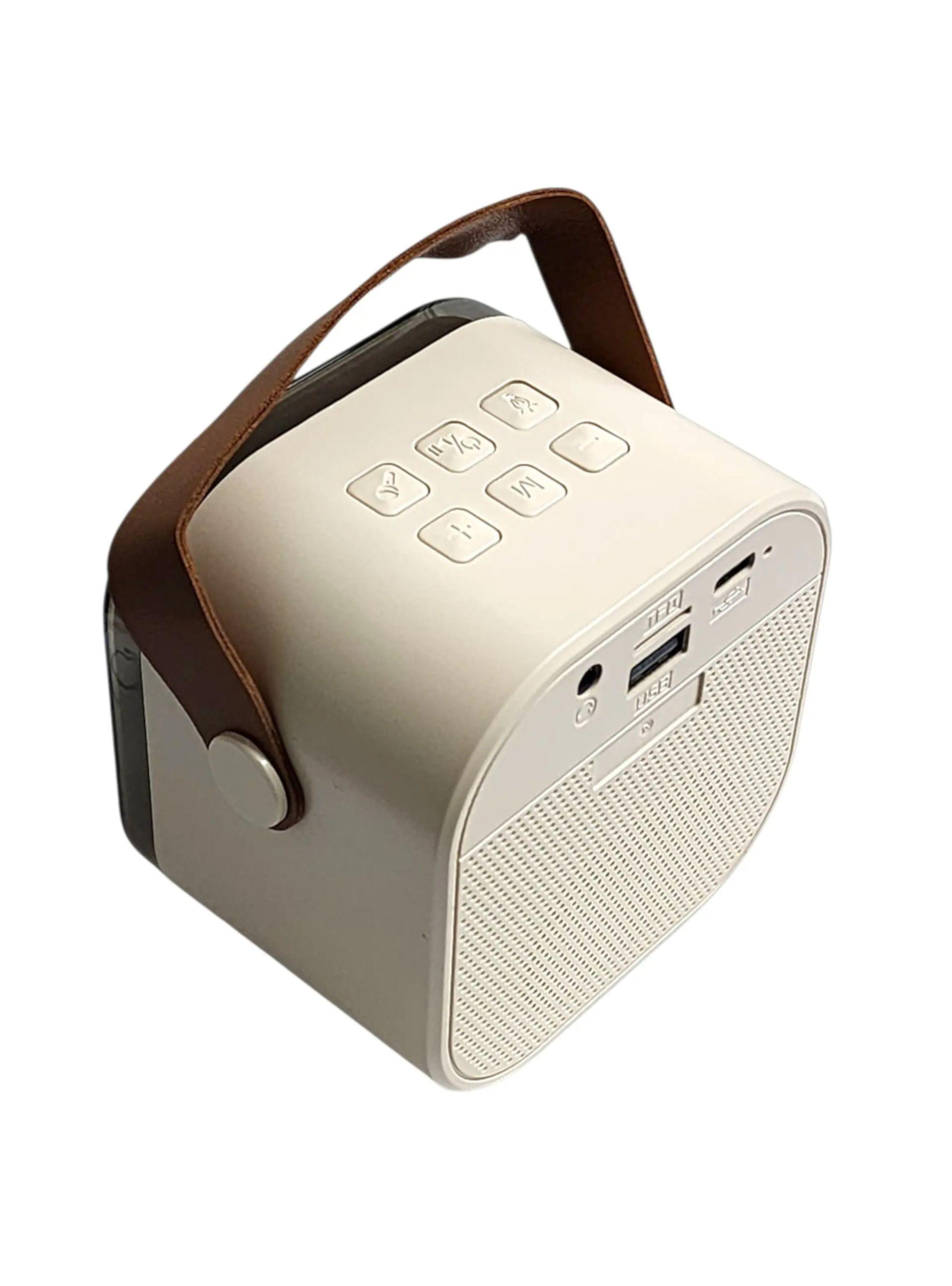 Parlante Karaoke Philco con 2 Micrófonos – TWS y Luces RGB-2