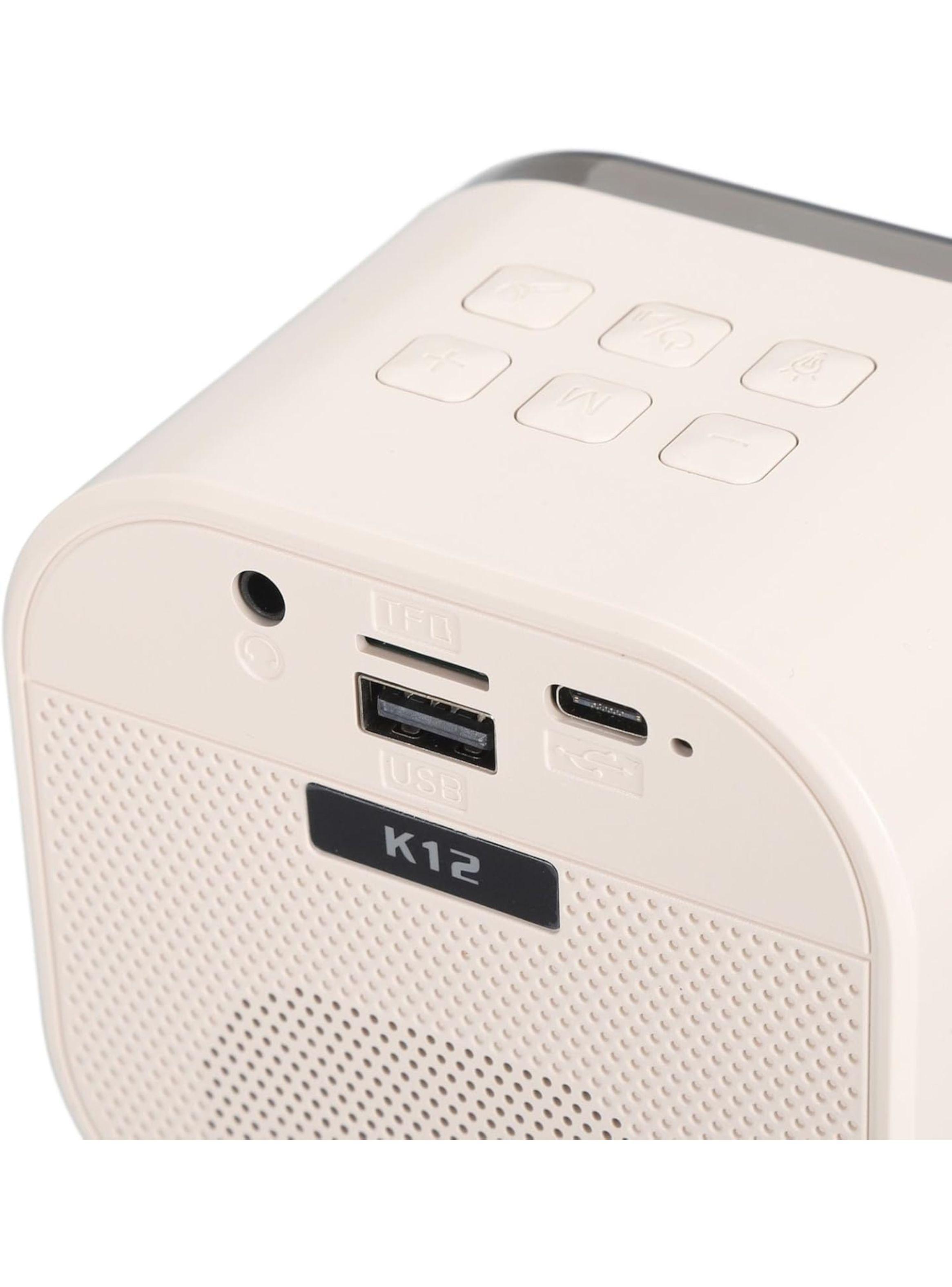 Karaoke Portátil Doble Micrófono Bluetooth con Mini Parlante RGB-1