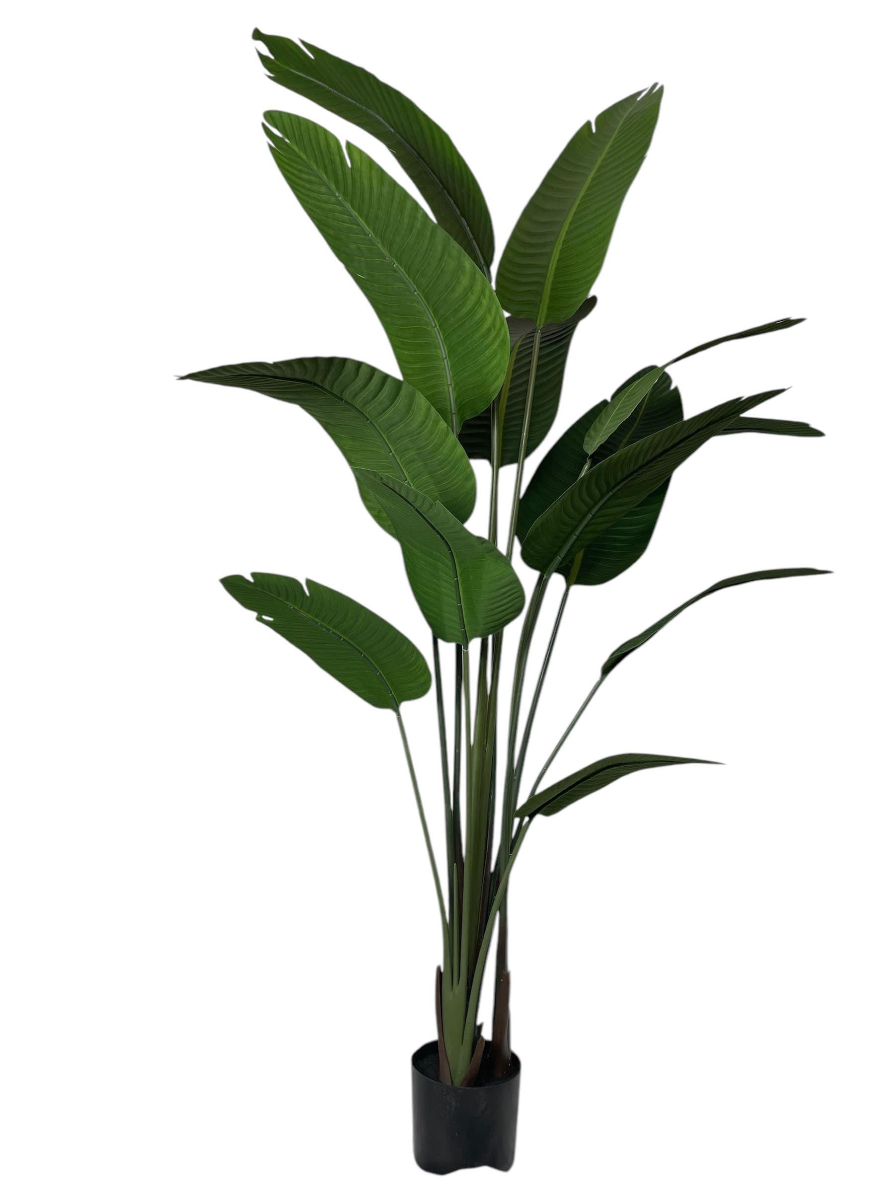 Strelitzia 180cm Artificial | Estilo Natural para Interiores y Vitrinas-1