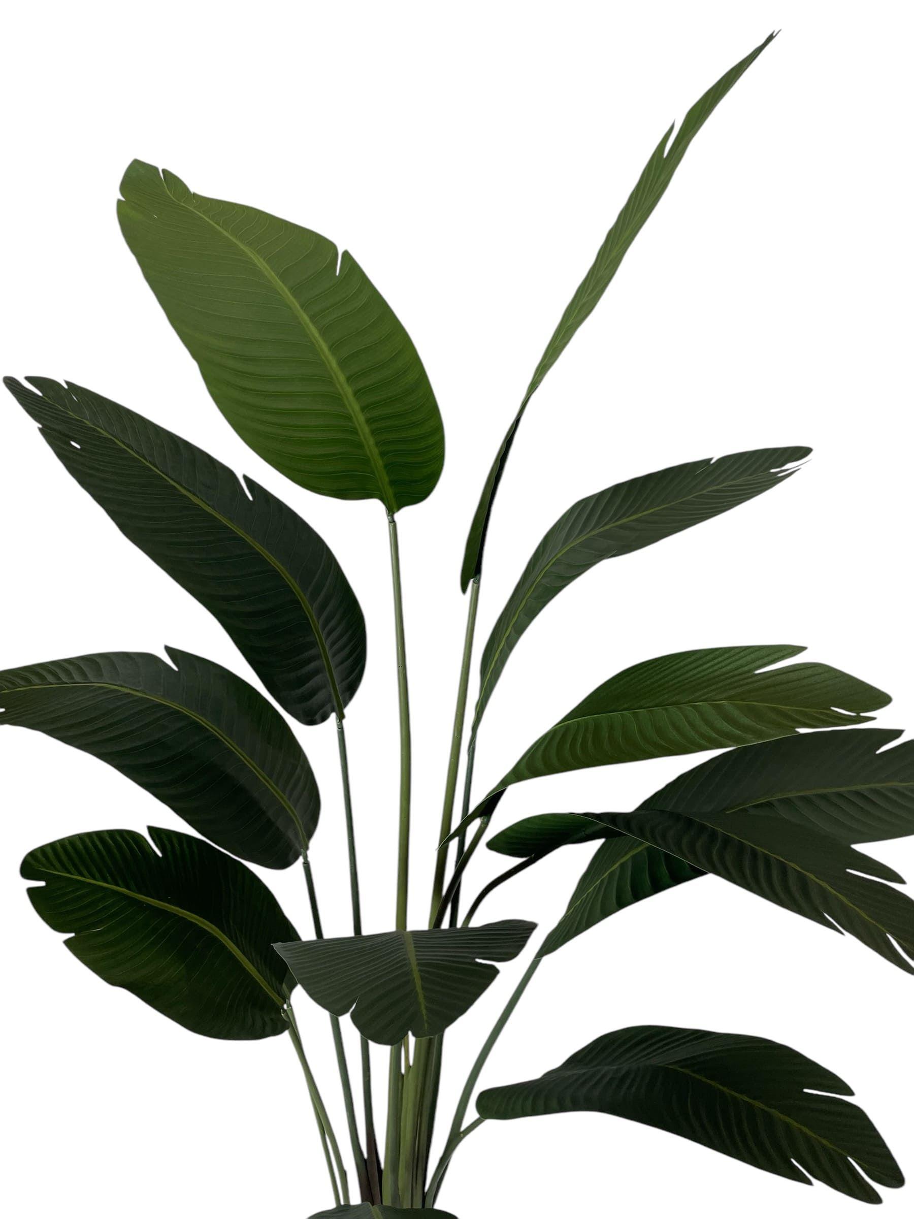 Strelitzia 180cm Artificial | Estilo Natural para Interiores y Vitrinas-2