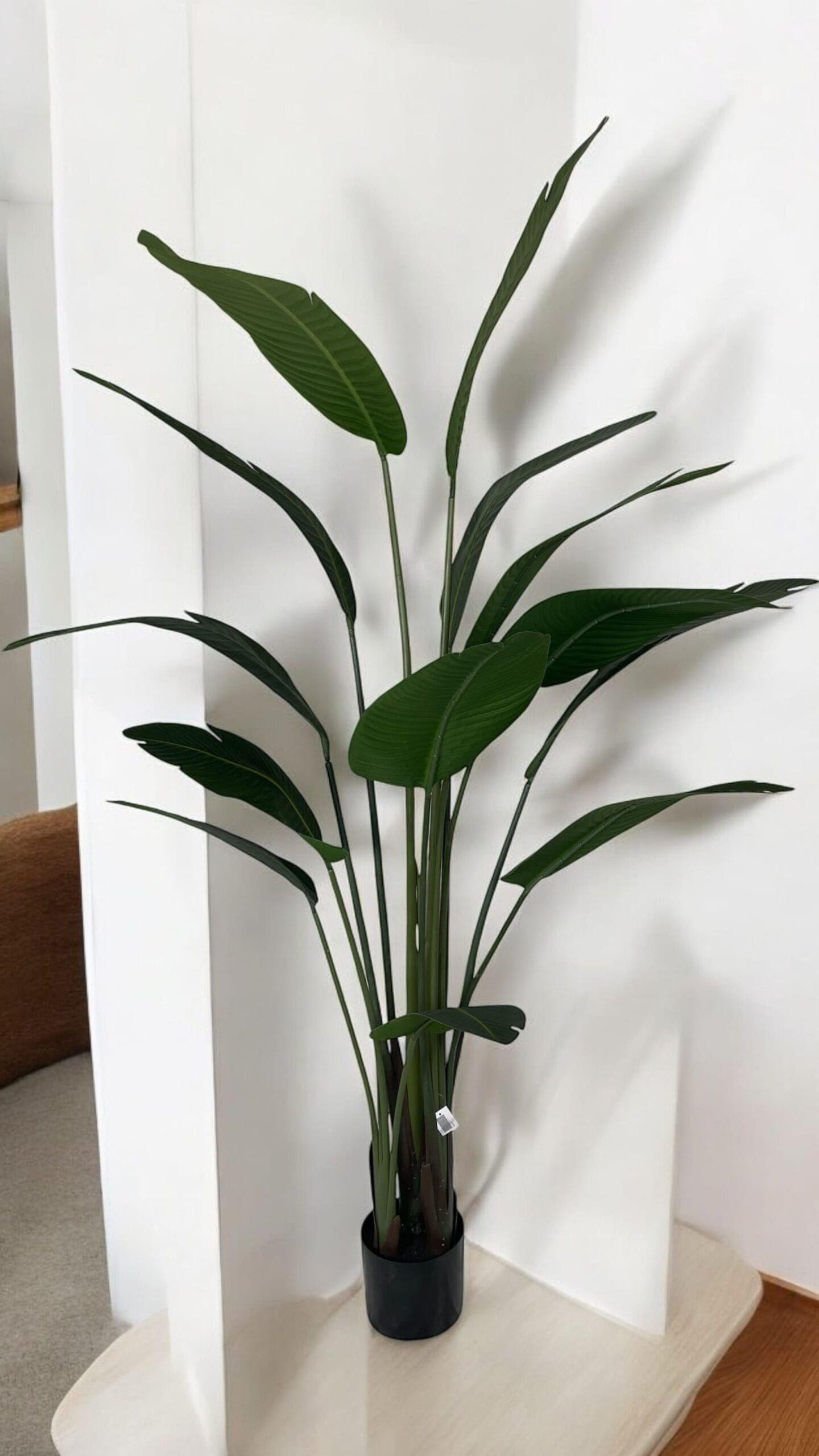 Strelitzia 180cm Artificial | Estilo Natural para Interiores y Vitrinas-4