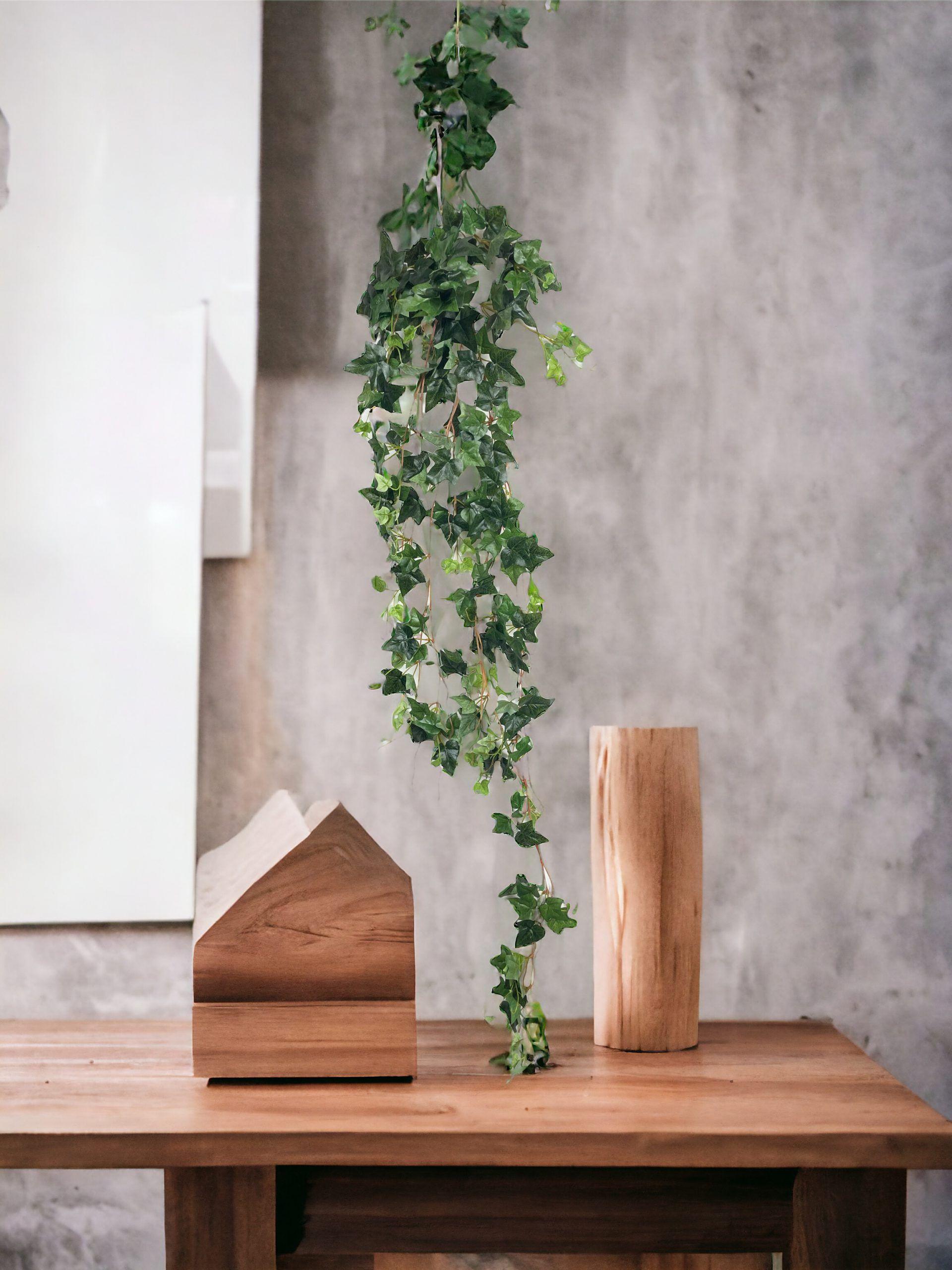 Hiedra Inglesa Mini 135cm-2