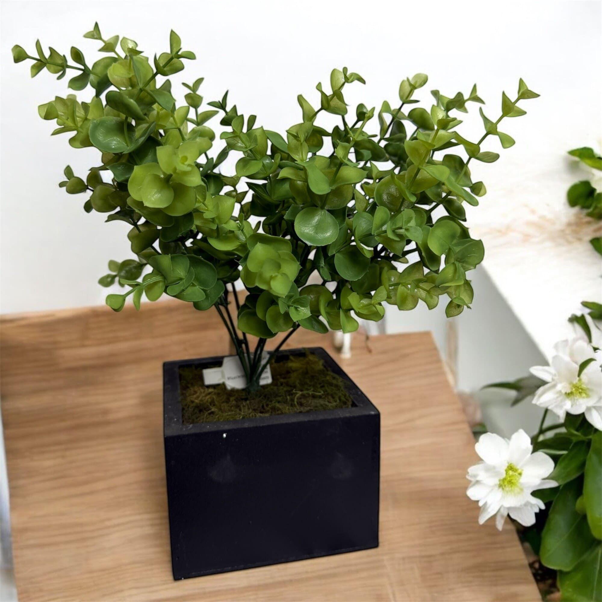 Ramo Boxwood de 40cm Artificial | Estilo Natural para Interiores y Vitrinas-2