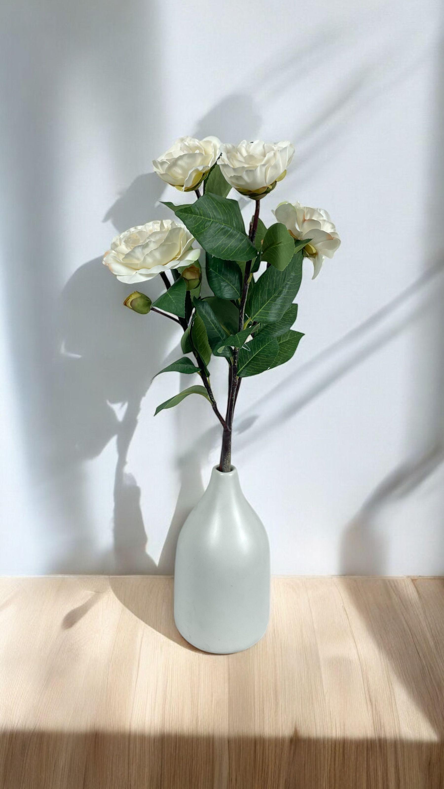 Camelia Blanca 52cm-4