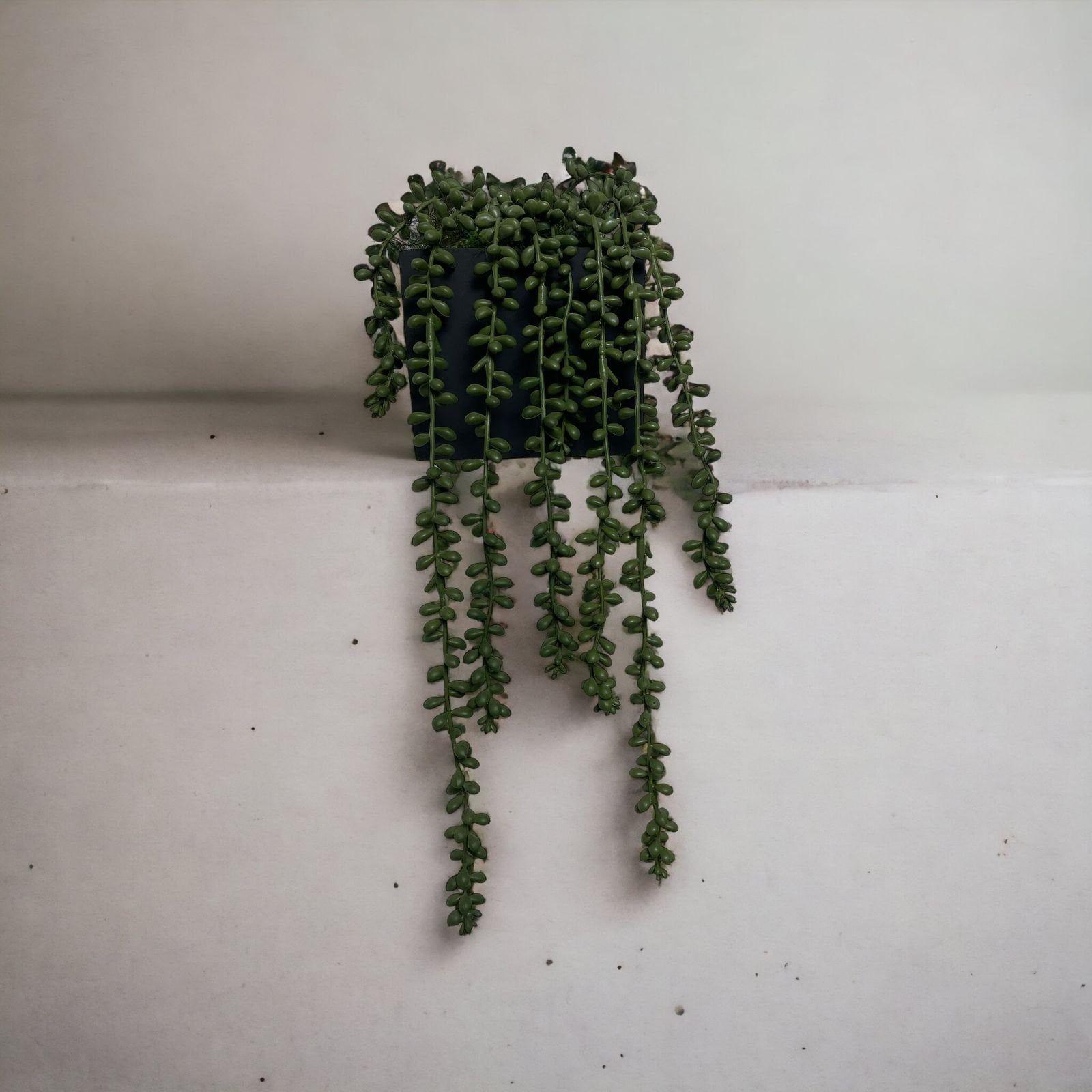 Arreglo De Cactus Rosario 40cm Artificial | Estilo Natural para Interiores y Vitrinas-2