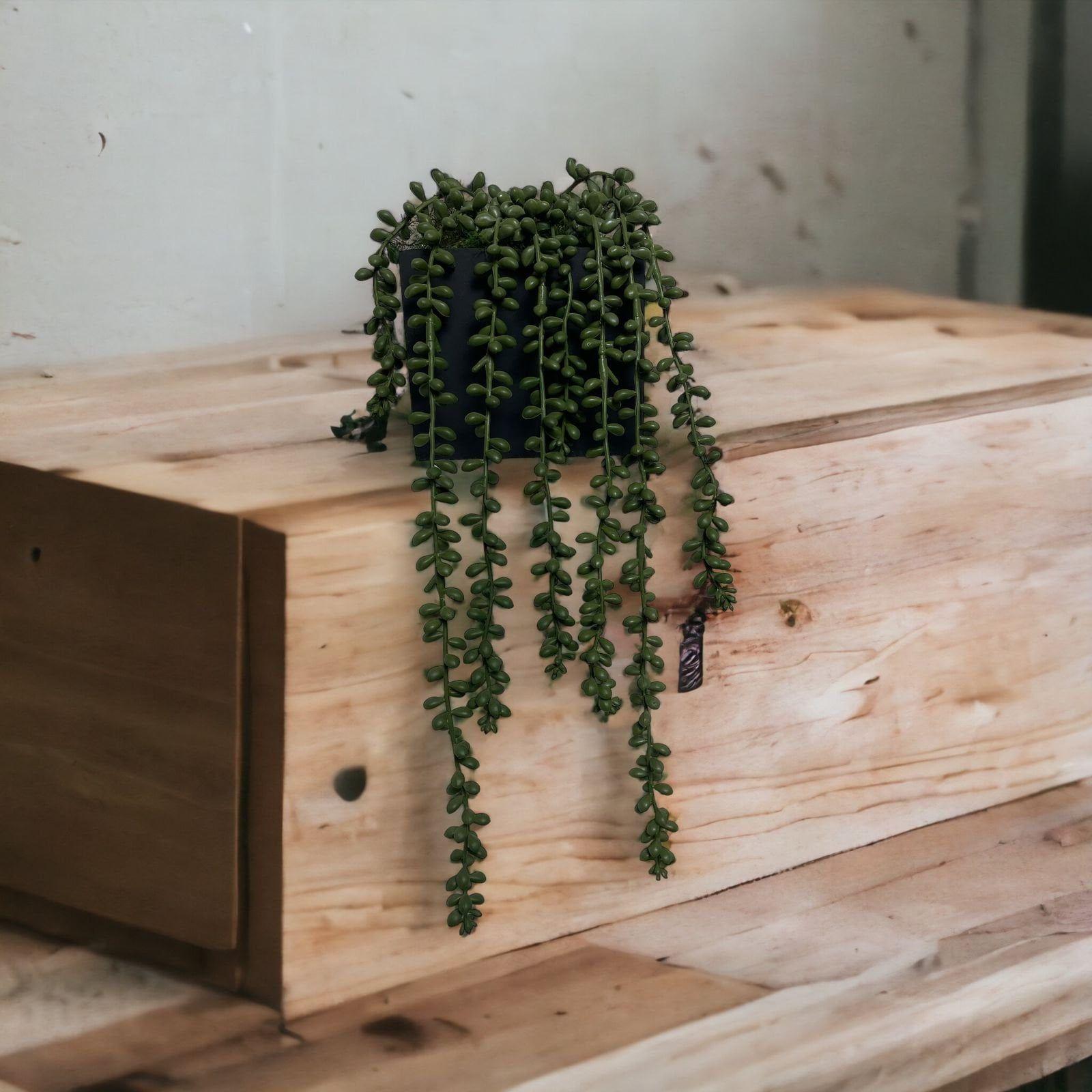 Arreglo De Cactus Rosario 40cm Artificial | Estilo Natural para Interiores y Vitrinas-3