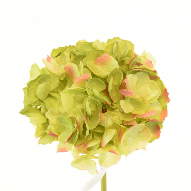 Hortensia Verde Oscuro 50cm Artificial | Estilo Natural para Interiores y Vitrinas-2