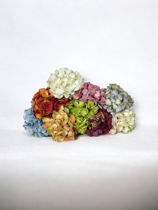 Hortensia Verde Oscuro 50cm Artificial | Estilo Natural para Interiores y Vitrinas-4