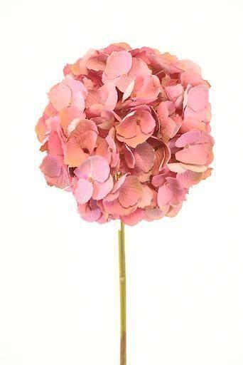 FLOR DECORATIVA COREL HORTENSIA ROSA 52CM-3