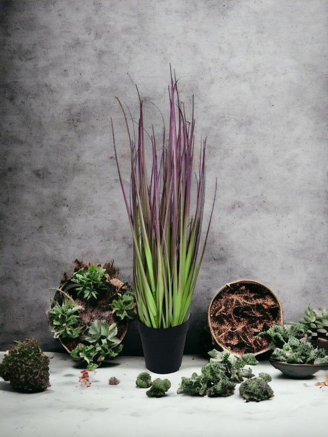 Pasto Cebolla Morado 53cm Artificial | Estilo Natural para Interiores y Vitrinas-2
