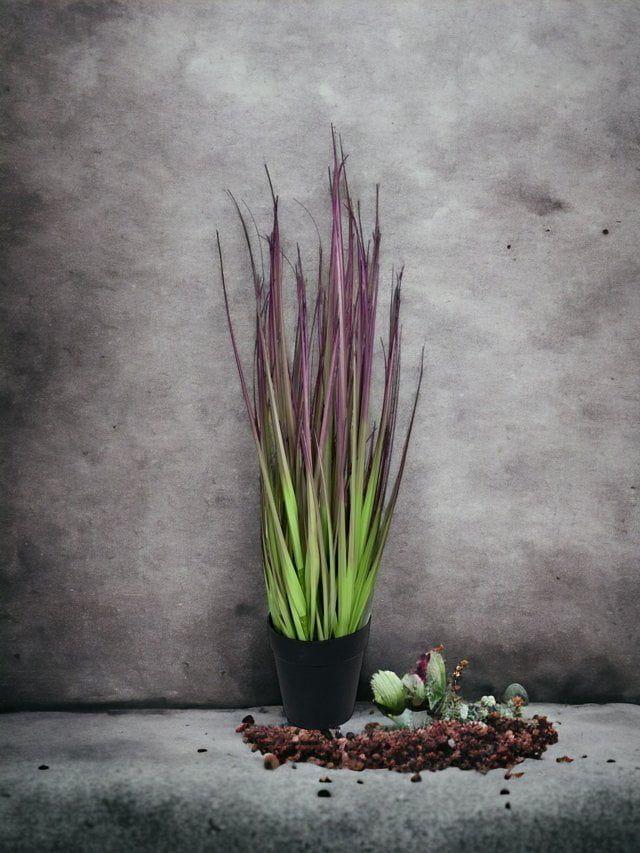 Pasto Cebolla Morado 53cm Artificial | Estilo Natural para Interiores y Vitrinas-3