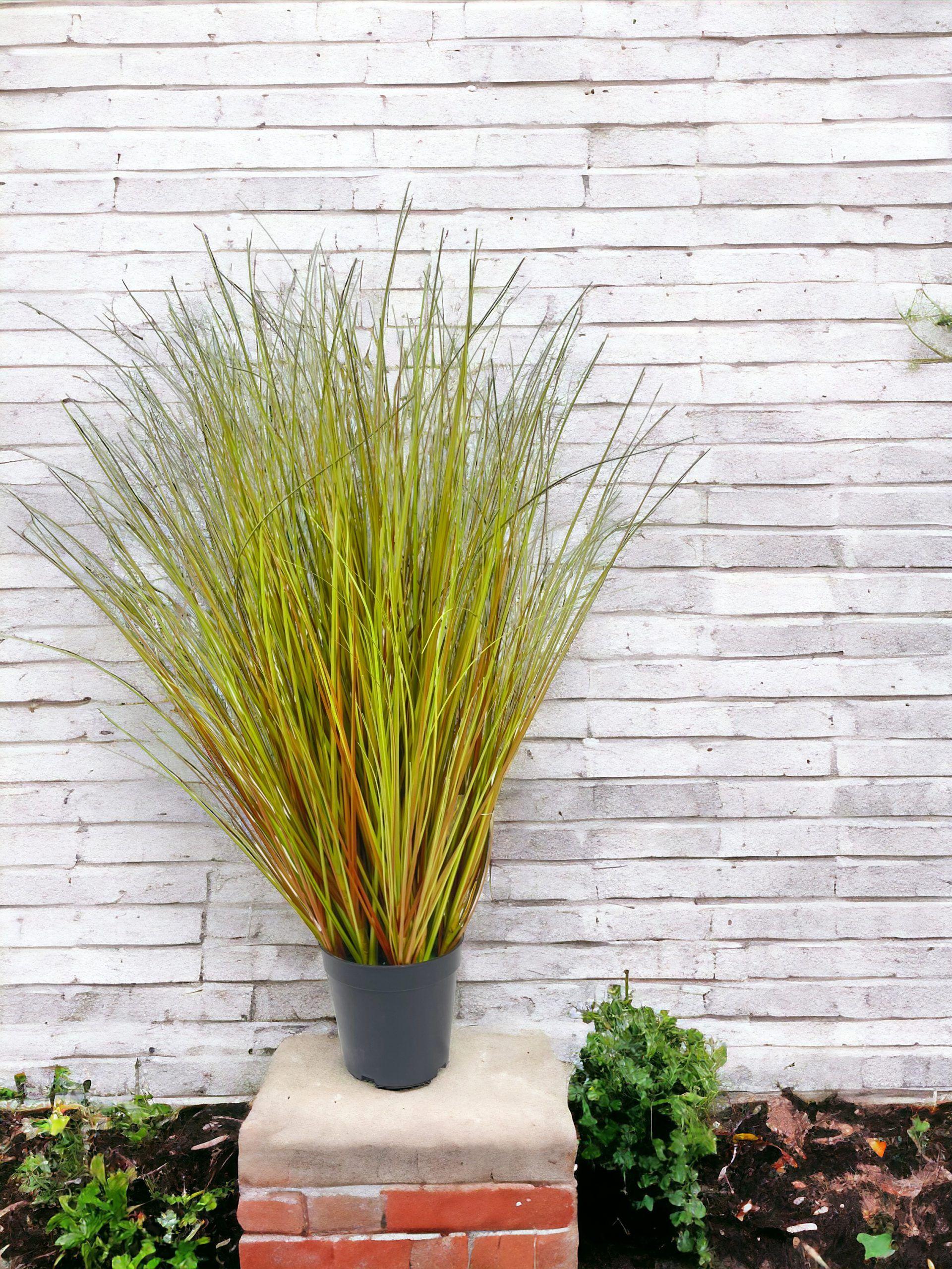 Pasto Con Caida Verde-Cafe 72cm-3