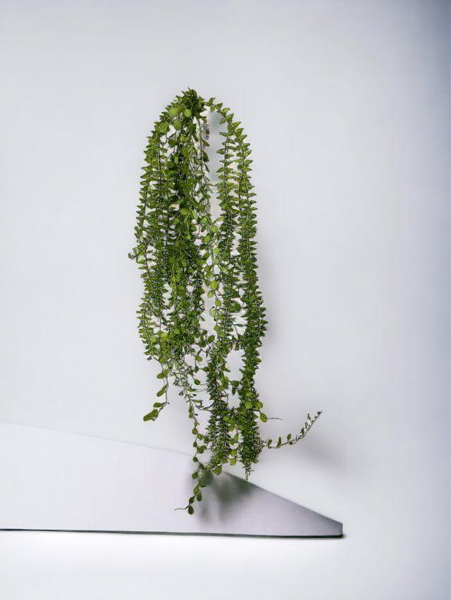 Helecho Colgante de Hoja Mini Artificial | Estilo Natural para Interiores y Vitrinas-2