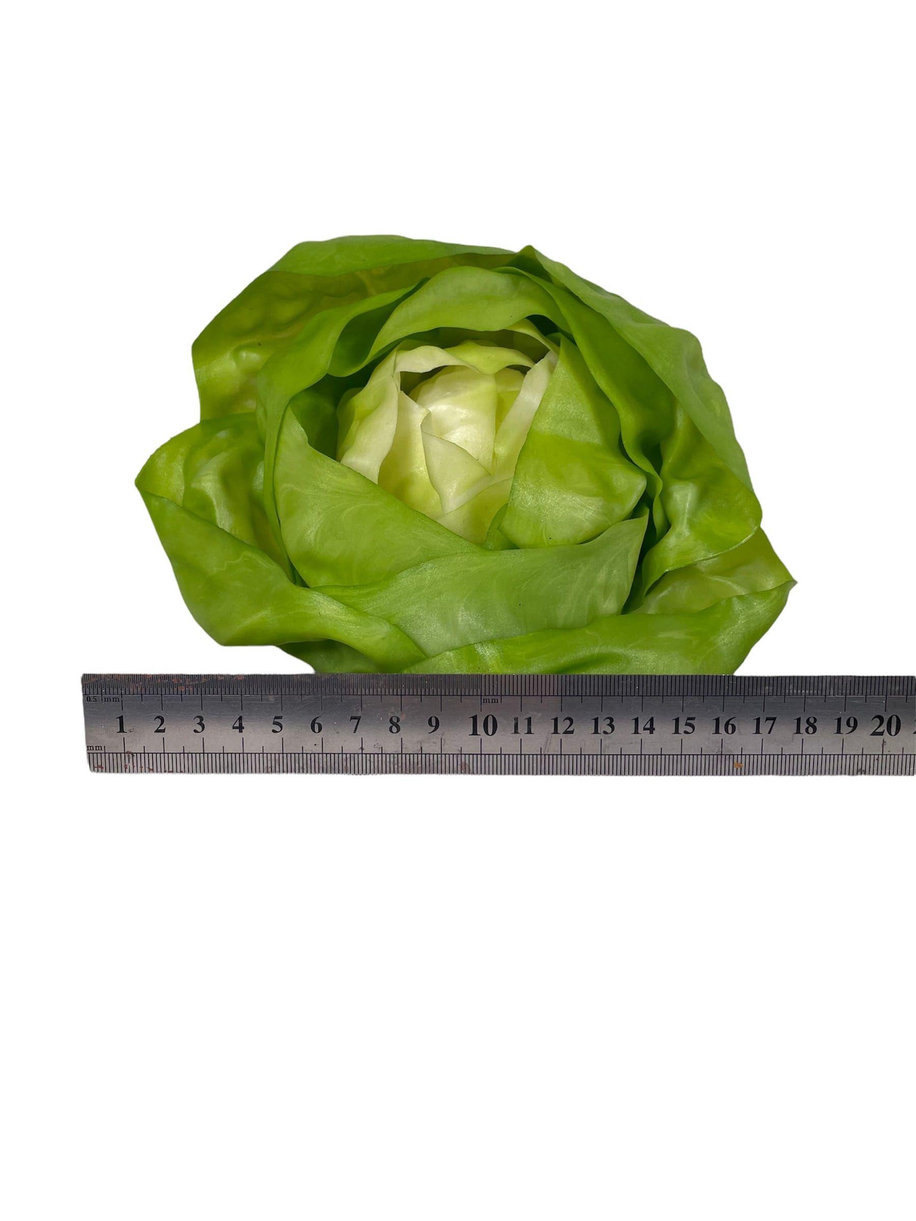 Lechuga Española 16cm Artificial | Estilo Natural para Interiores y Vitrinas-2