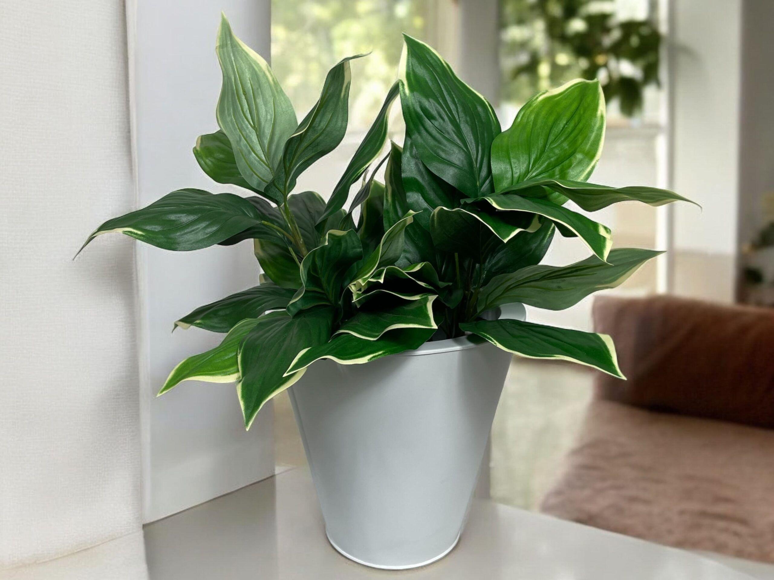 Ramo Hosta UV 56cm Artificial | Estilo Natural para Interiores y Vitrinas-2