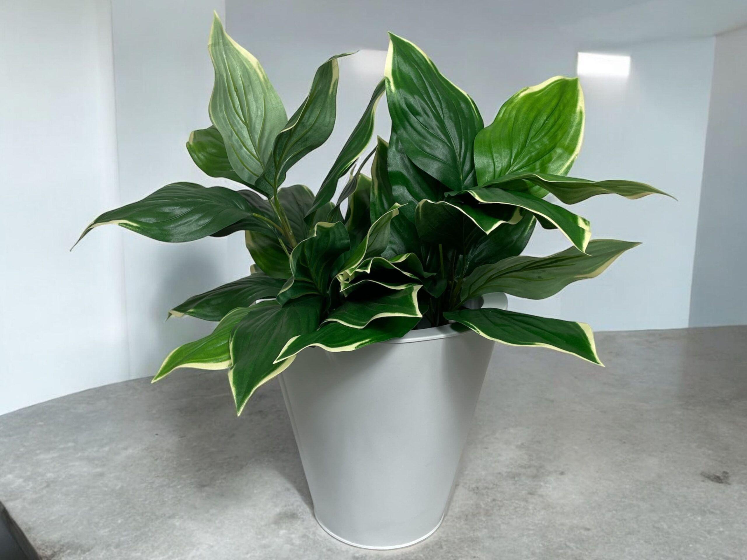 Ramo Hosta UV 56cm Artificial | Estilo Natural para Interiores y Vitrinas-3