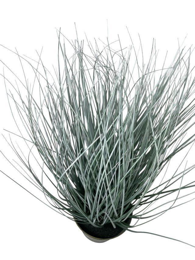 Pasto Con Caida Verde/Cafe 72cm Artificial | Estilo Natural para Interiores y Vitrinas-3