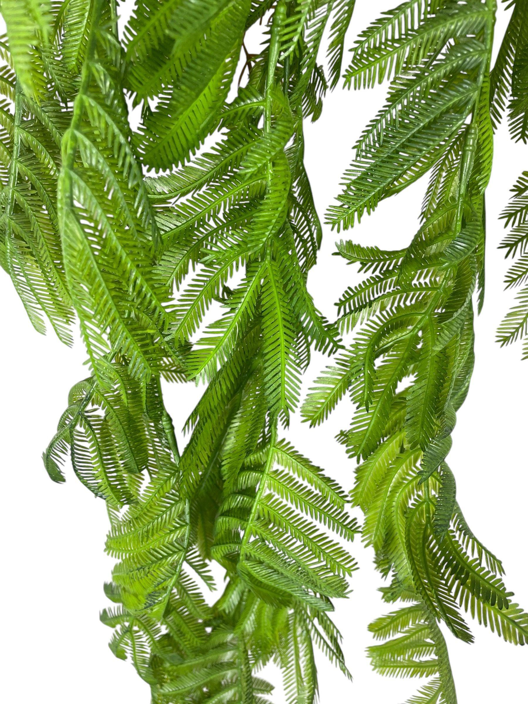 Helecho Colgante Mimosa 80cm-3