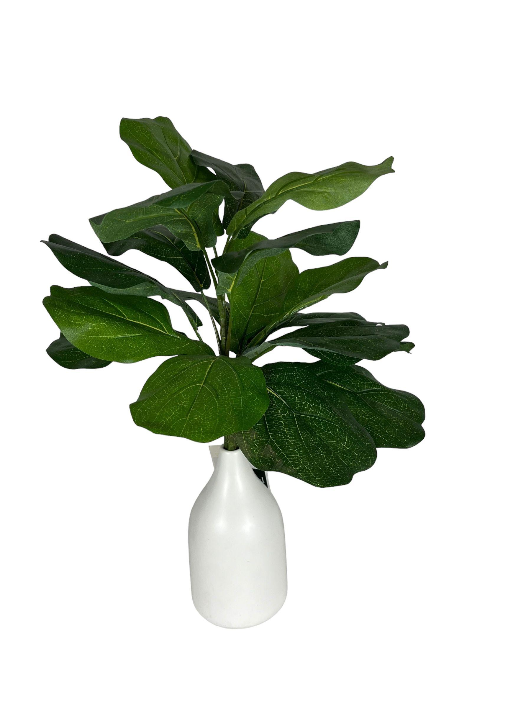 Planta Decorativa Ficus Lyrata Con Uv 56cm-3
