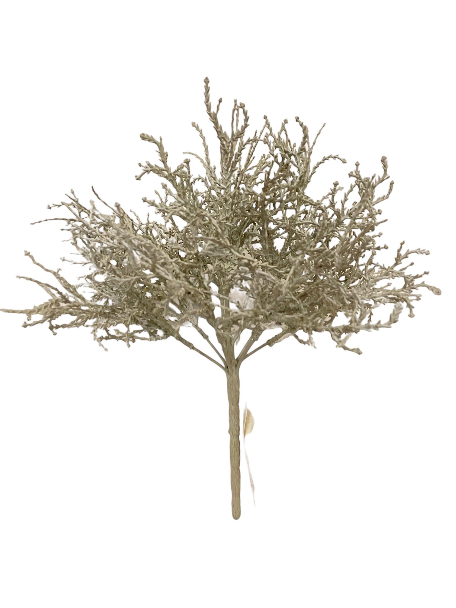 Arbusto Gris 30cm-0