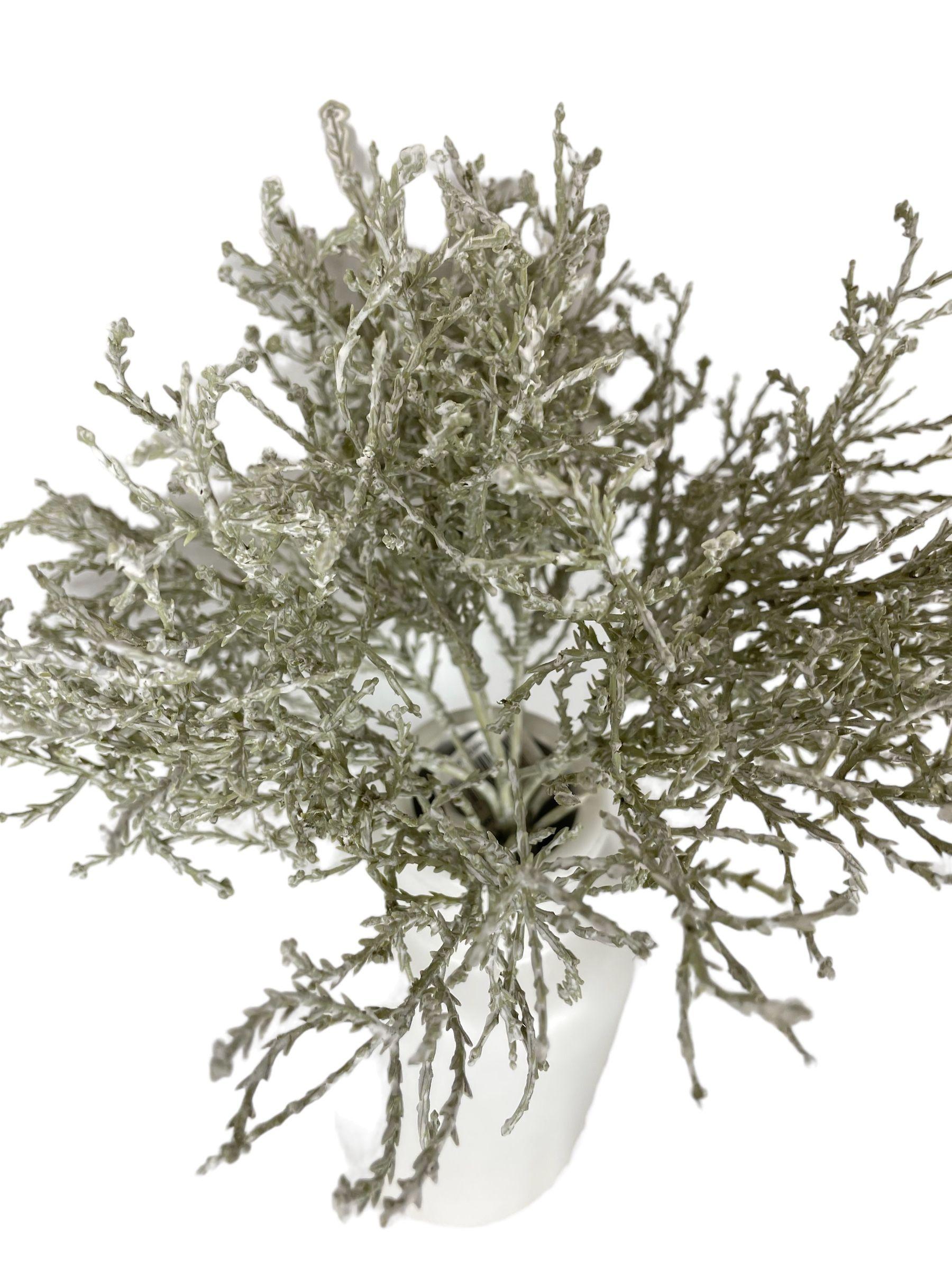 Arbusto Gris 30cm-1