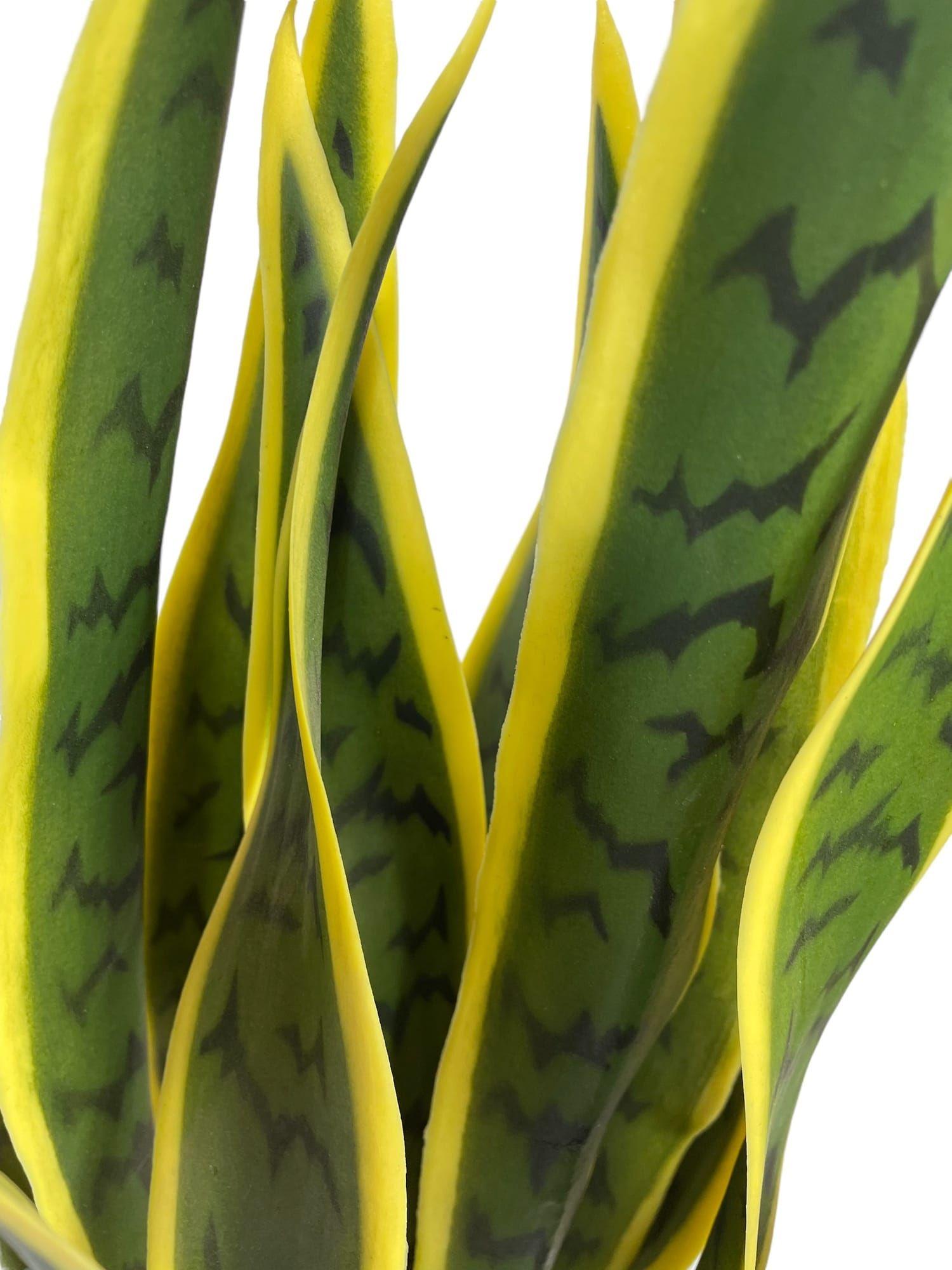 Sanseviera Amarilla de 69cm Artificial | Estilo Natural para Interiores y Vitrinas-2