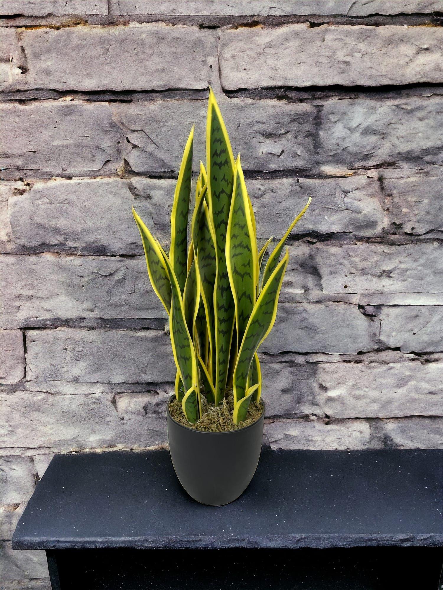 Sanseviera Amarilla de 69cm Artificial | Estilo Natural para Interiores y Vitrinas-3