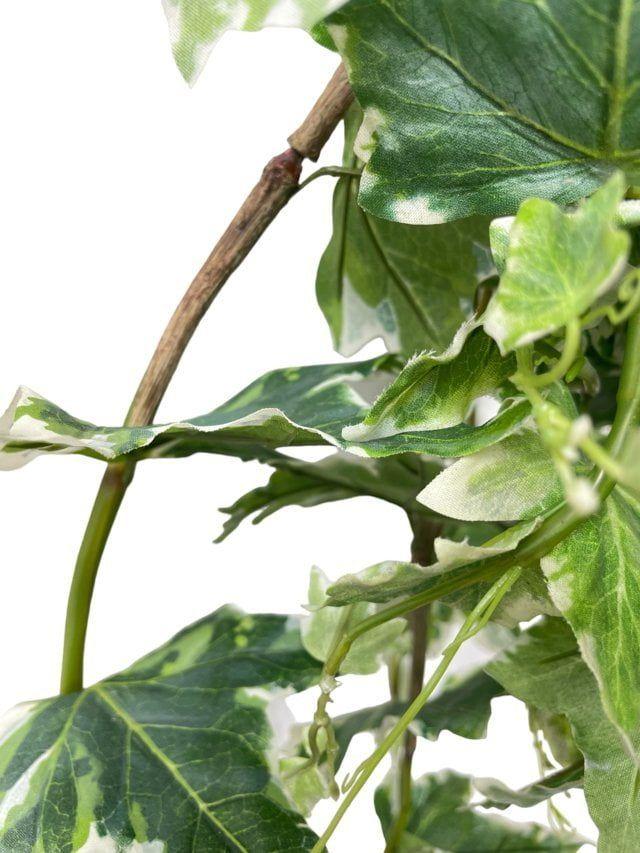 Hiedra Ivy Variegada Artificial | Estilo Natural para Interiores y Vitrinas-3