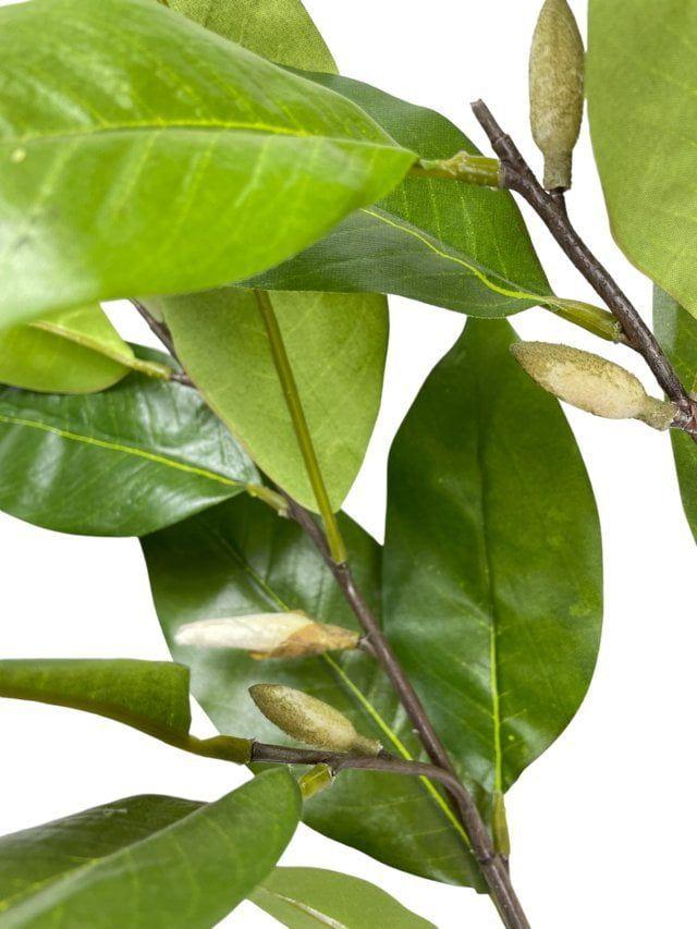 Rama Artificial Hojas Magnolia Verde 104cm Artificial | Estilo Natural para Interiores y Vitrinas-2