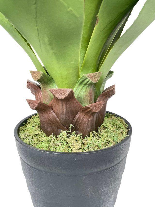 Agave Con Hoja Cerrada 75cm Artificial | Estilo Natural para Interiores y Vitrinas-2