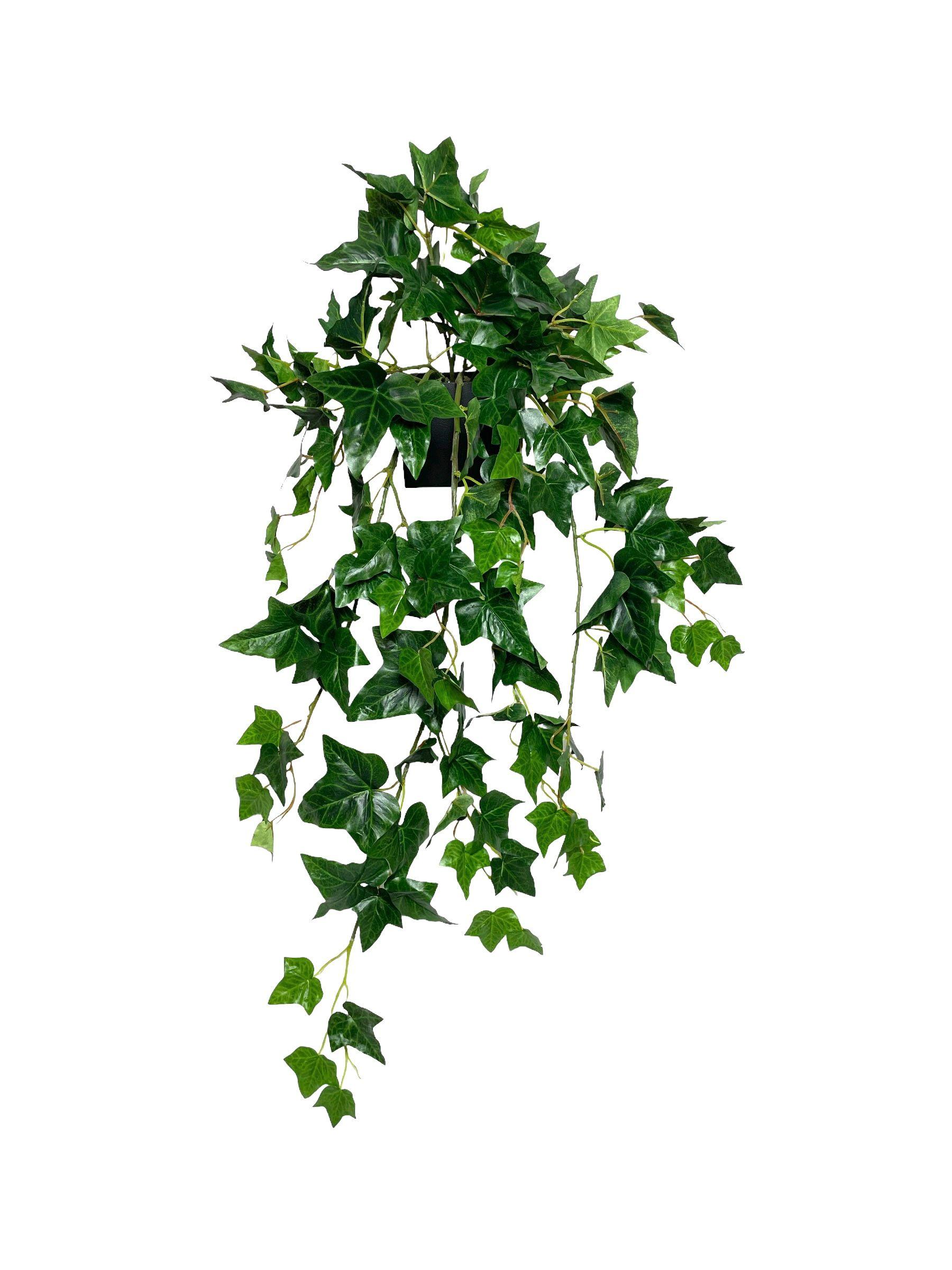 Hiedra Colgante Inglesa 89Cm-0