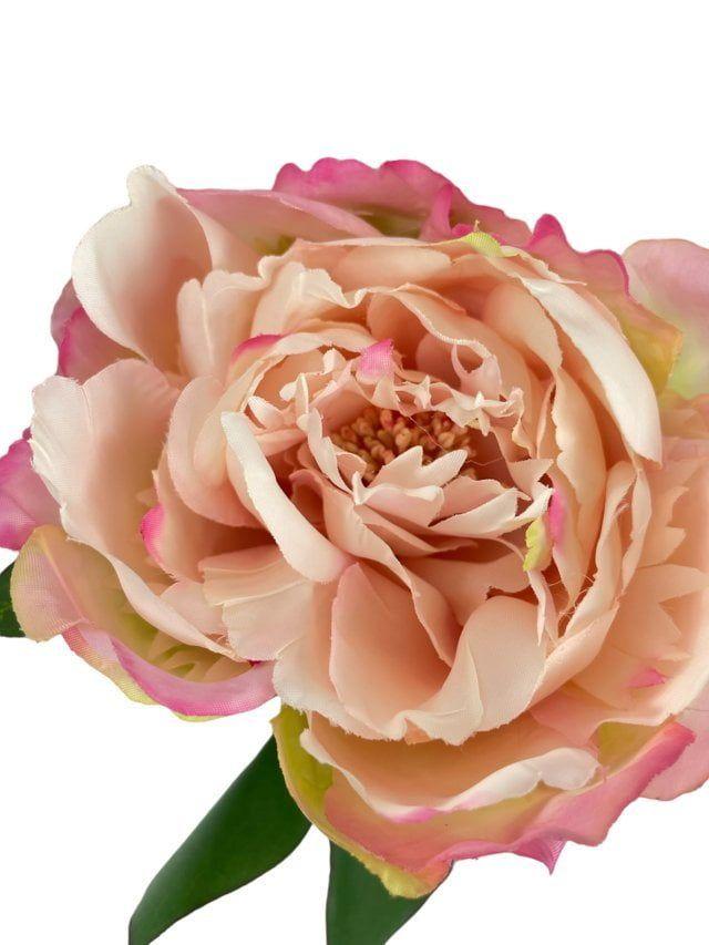 Peonía Damasco Simple 45cm Artificial | Estilo Natural para Interiores y Vitrinas-2