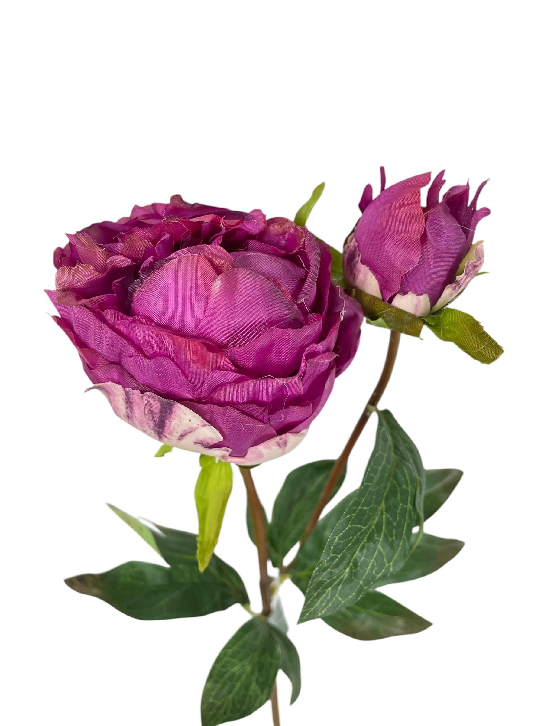 Peonía Cerrada Fucsia 57cm Artificial | Estilo Natural para Interiores y Vitrinas-2