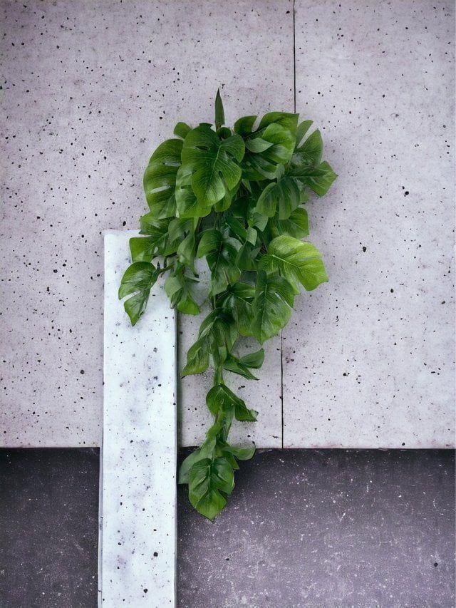 Hiedra Spathipylium 50cm Artificial | Estilo Natural para Interiores y Vitrinas-2