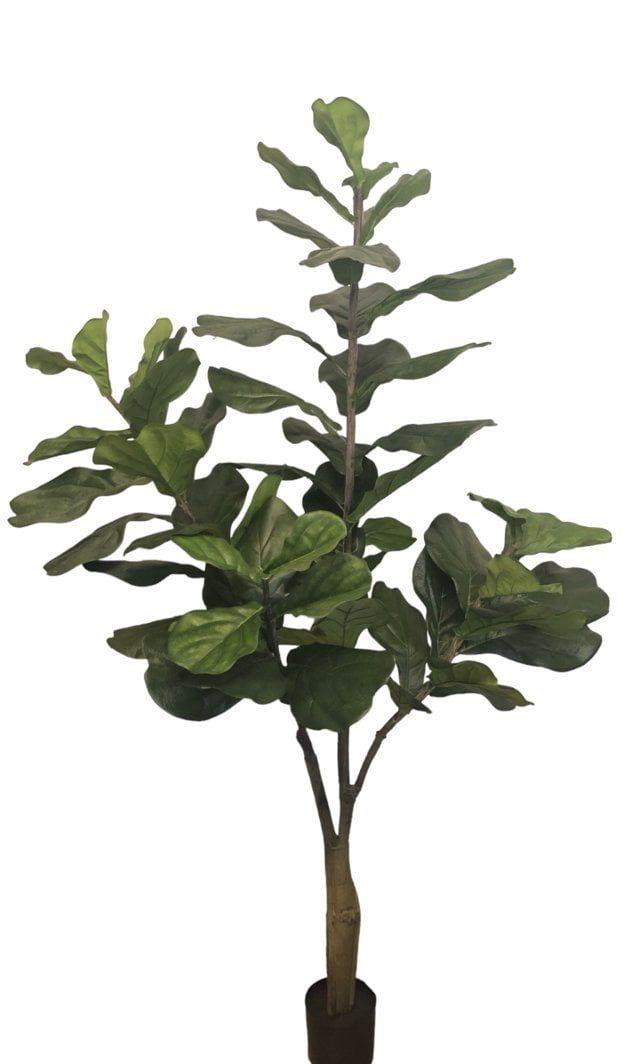 Árbol Artificial Ficus Lyrata 180cm Artificial | Estilo Natural para Interiores y Vitrinas-0