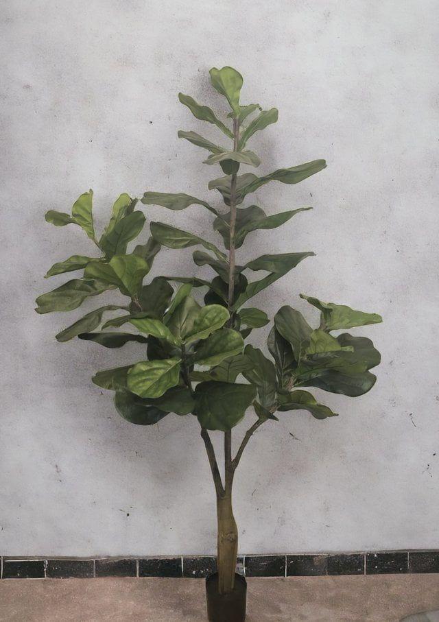 Árbol Artificial Ficus Lyrata 180cm Artificial | Estilo Natural para Interiores y Vitrinas-1