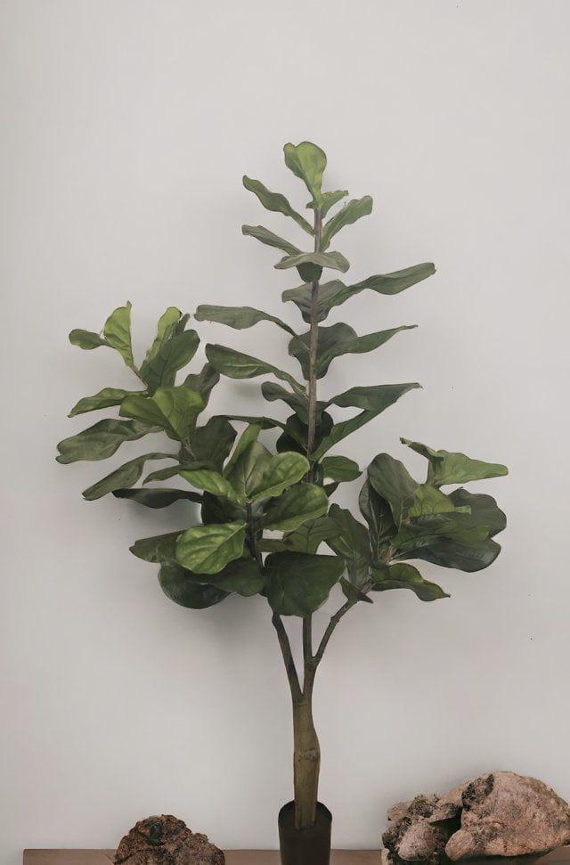 Árbol Artificial Ficus Lyrata 180cm Artificial | Estilo Natural para Interiores y Vitrinas-2