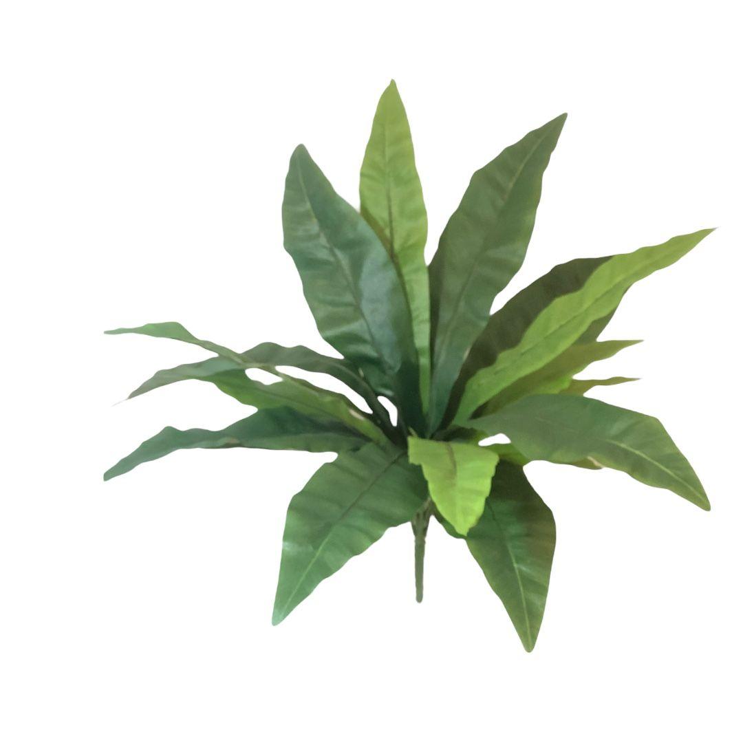 PLANTA DECORATIVA COREL HELECHO NIDO DE PAJARO 53CM-2