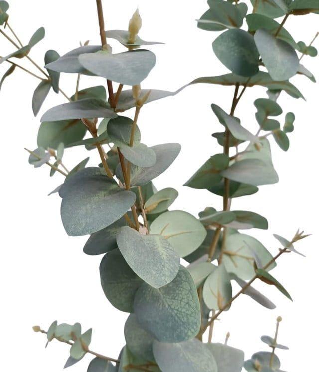 Árbol Artificial Eucalipto 180cm Artificial | Estilo Natural para Interiores y Vitrinas-3