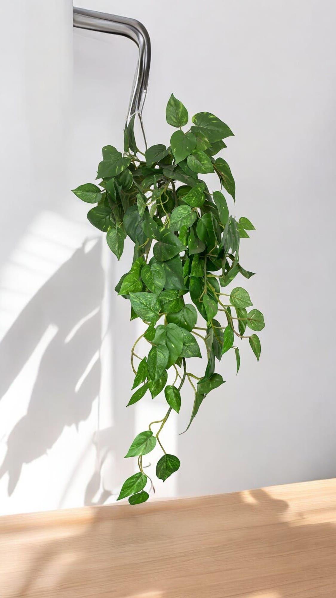 Hiedra Philodendro Colgante 89cm Artificial | Estilo Natural para Interiores y Vitrinas-3