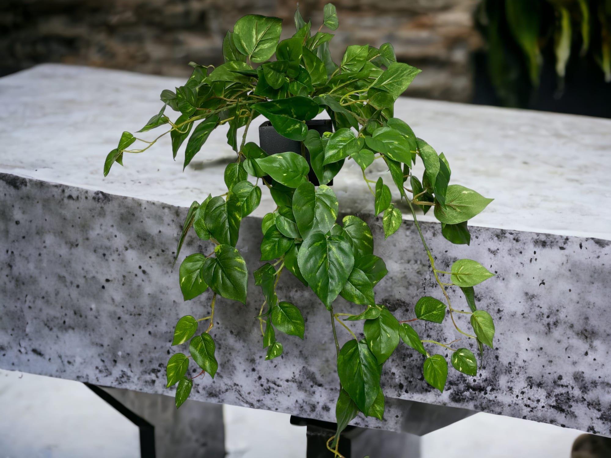 Hiedra Philodendro Colgante 89cm Artificial | Estilo Natural para Interiores y Vitrinas-4