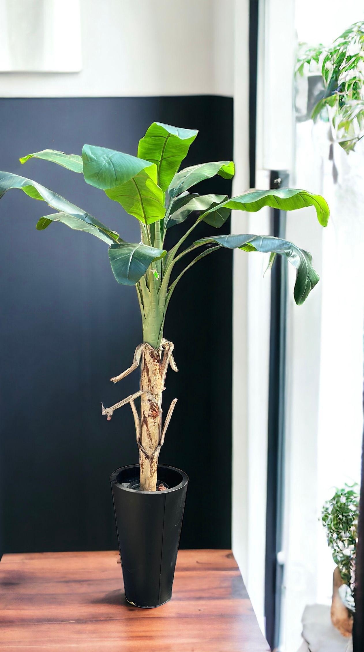 Árbol Banano 175cm-2