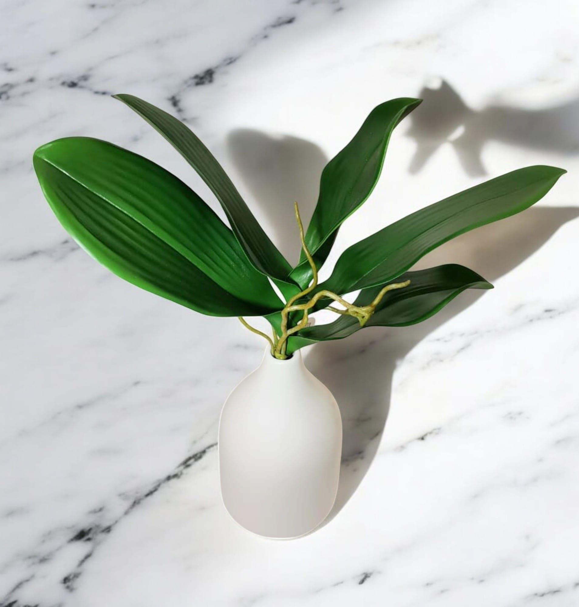 Hojas de Orquídea 28cm Artificial | Estilo Natural para Interiores y Vitrinas-2