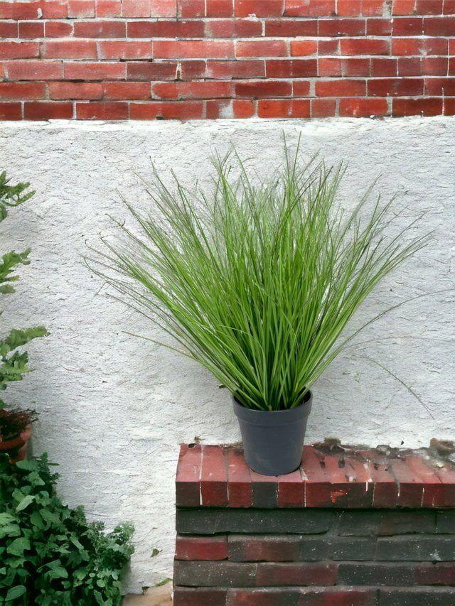 Pasto Cebra Gris Con Macetero 48cm Artificial | Estilo Natural para Interiores y Vitrinas-3