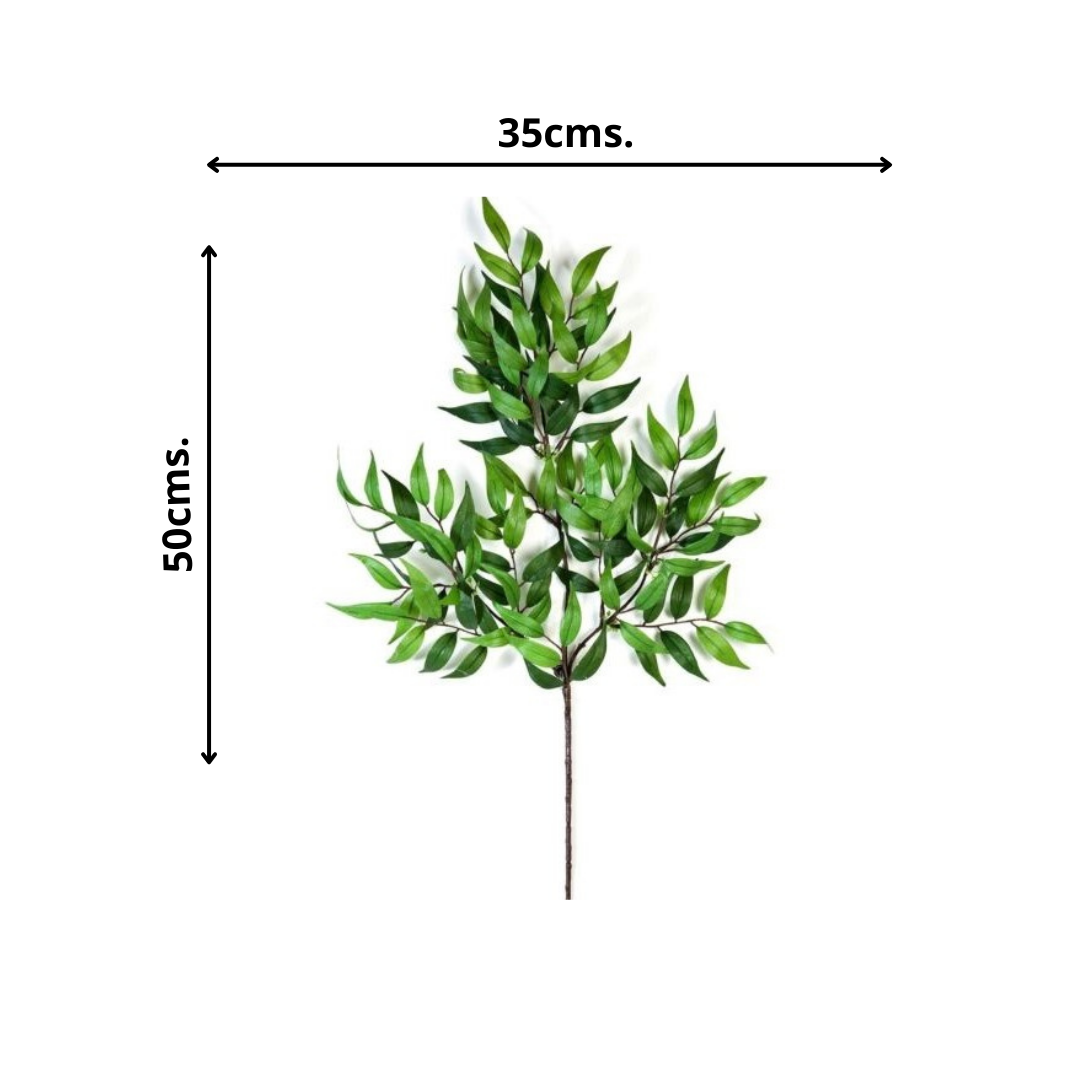 Planta Decorativa Rama Ruscus 50Cm-2