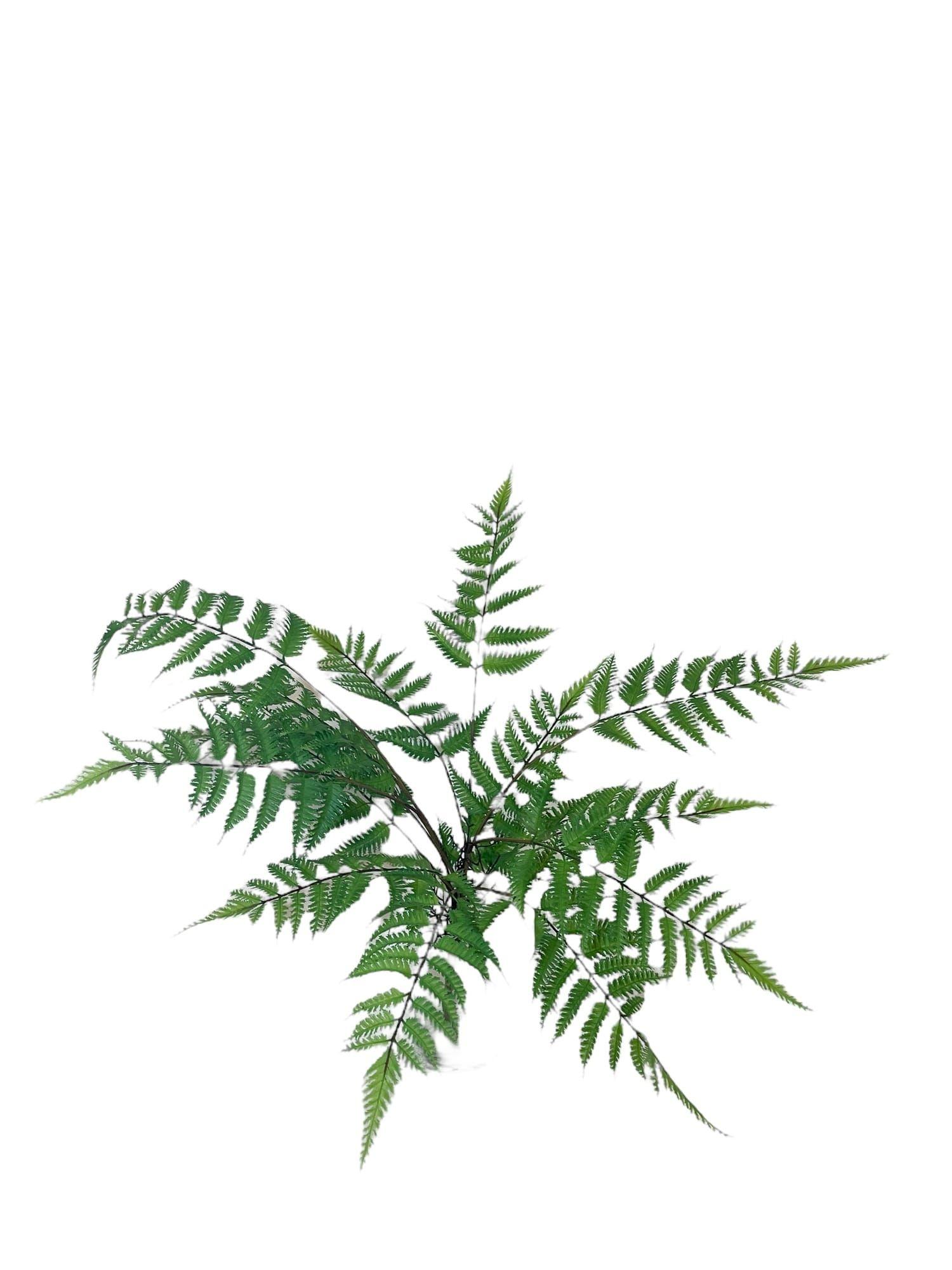 Helecho Pluma 76cm Artificial | Estilo Natural para Interiores y Vitrinas-3