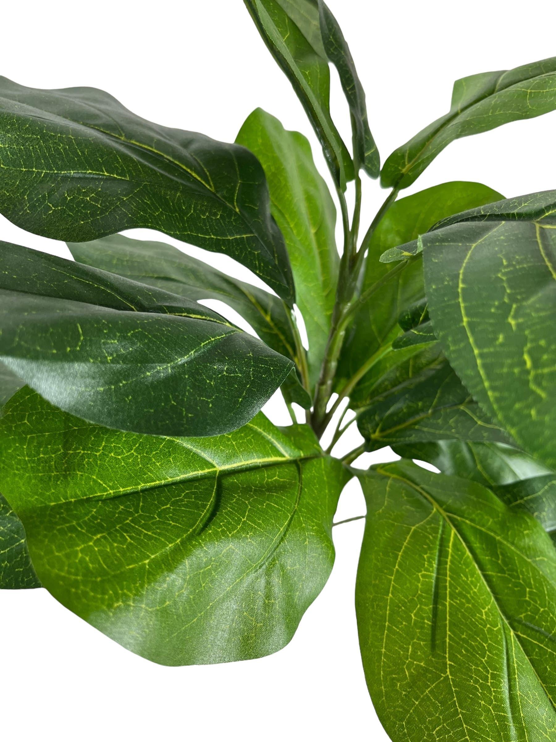 Ramo Ficus Lyrata UV 56cm Artificial | Estilo Natural para Interiores y Vitrinas-2