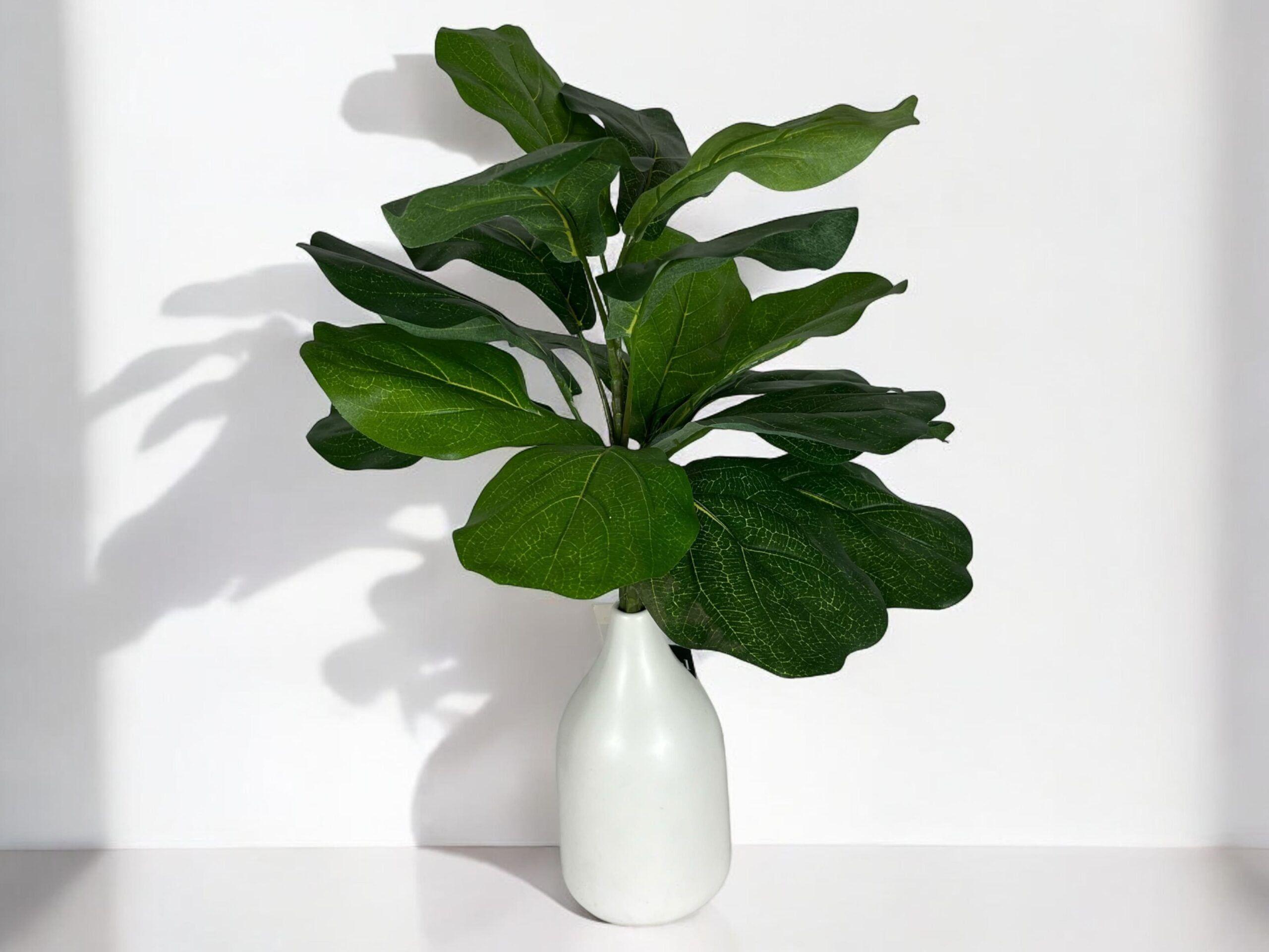 Ramo Ficus Lyrata UV 56cm Artificial | Estilo Natural para Interiores y Vitrinas-3